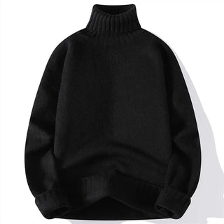 Harry | Pull à col roulé