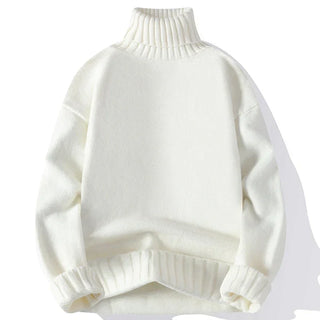 Harry | Pull à col roulé